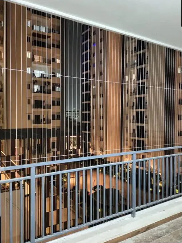 Pigeon Safety Nets detail for Starwood Towers