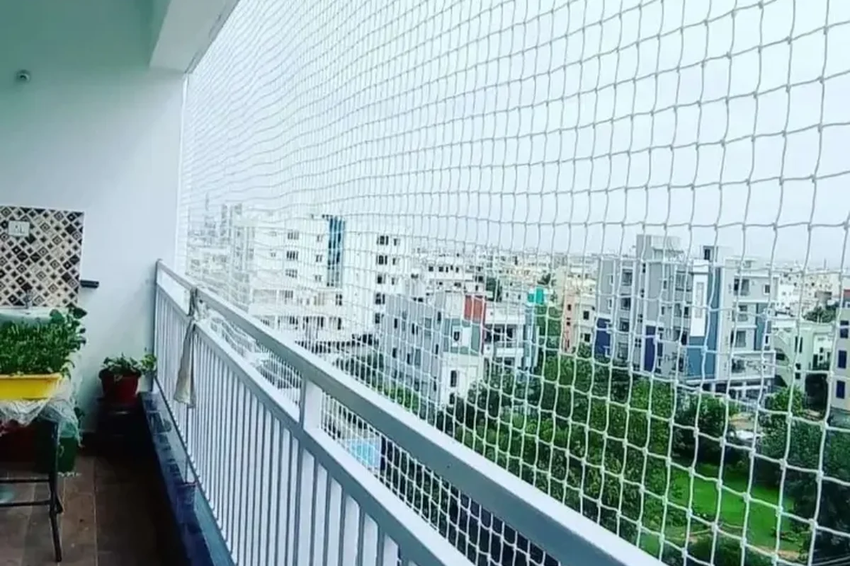 Bird Control installation photo in Chennai